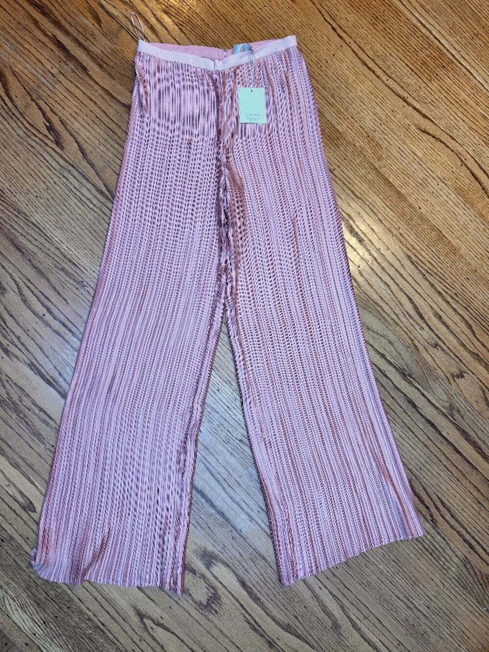 Free People Pleated Pants